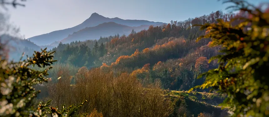 Coliving in Montseny: A 14th Century Masia in a UNESCO Biosphere Reserve